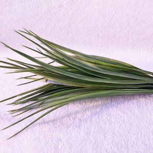 Spike Artificial Grass Bush Greenery